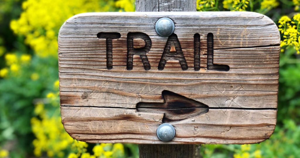 What is salesforce trailhead